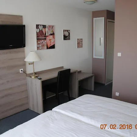 Albizzia 3*