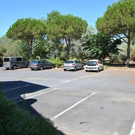 Albizzia Valras-Plage