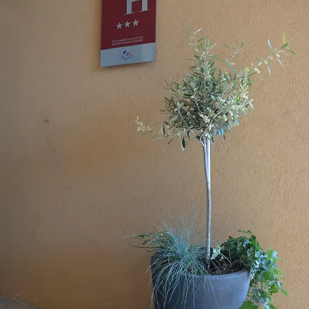 Albizzia 3* Valras-Plage